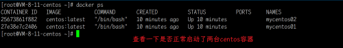 帶你細致學習Docker網絡 - bridge模式4211